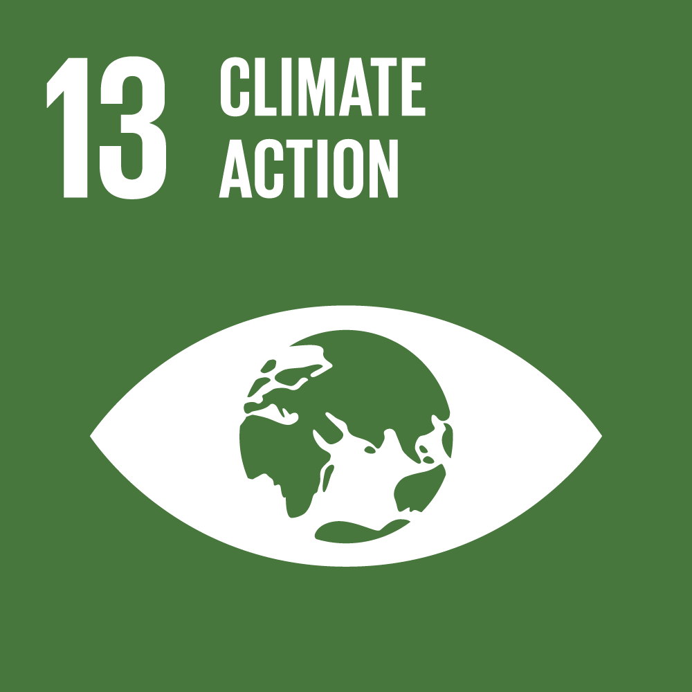Goal 13: Climate action