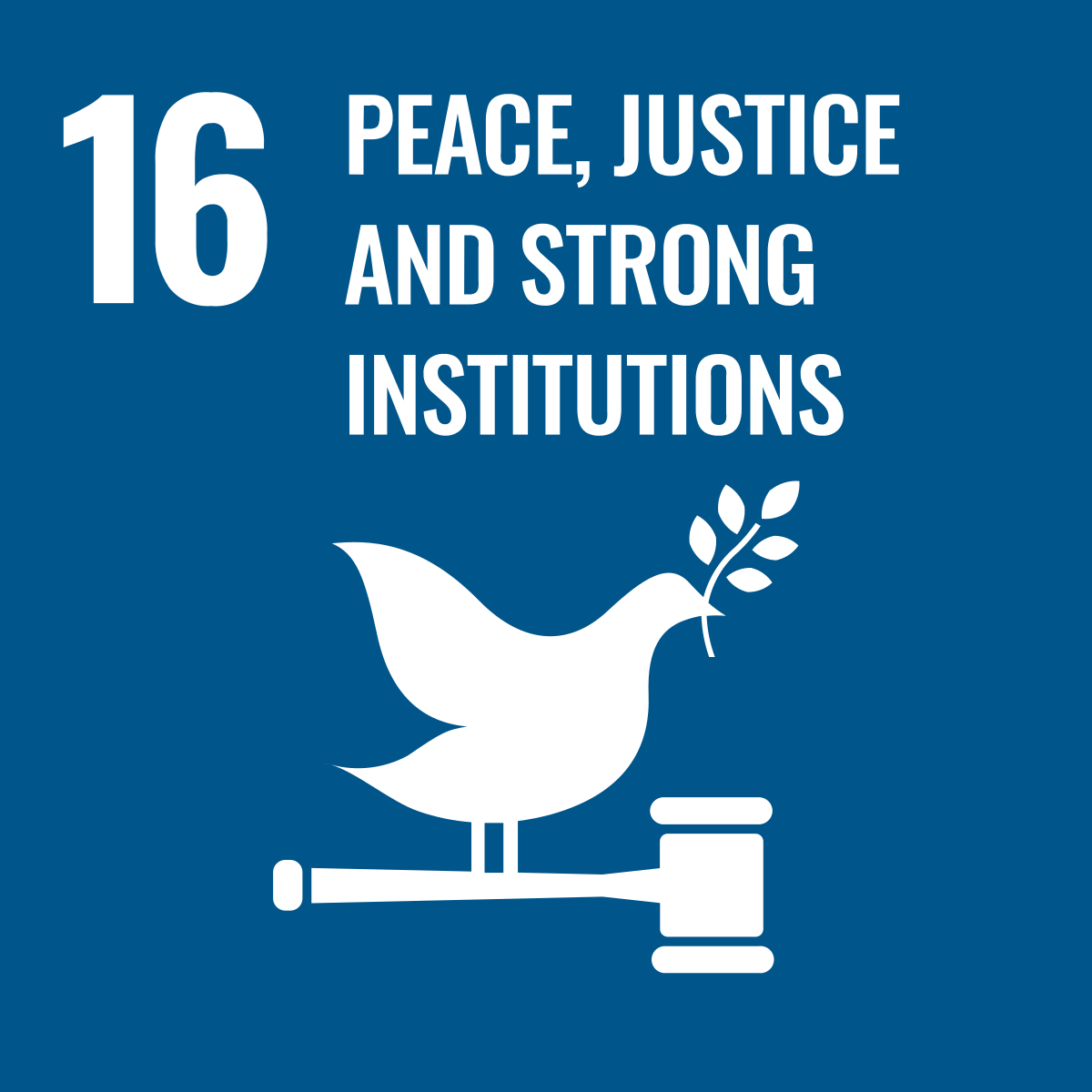 Goal 16: Peace, Justice And Strong Institutions